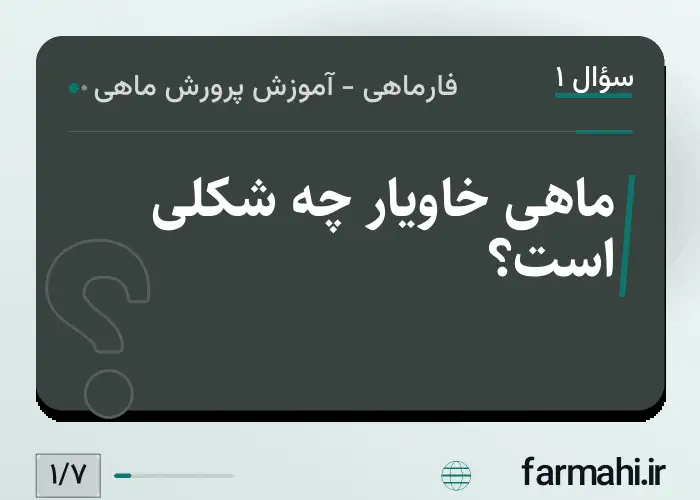ماهی خاویار چه شکلی است؟