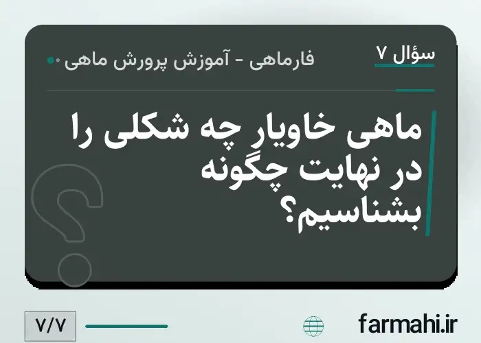 ماهی خاویار چه شکلی را در نهایت چگونه بشناسیم؟