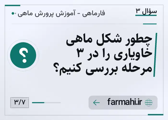 چطور شکل ماهی خاویاری را در ۳ مرحله بررسی کنیم؟
