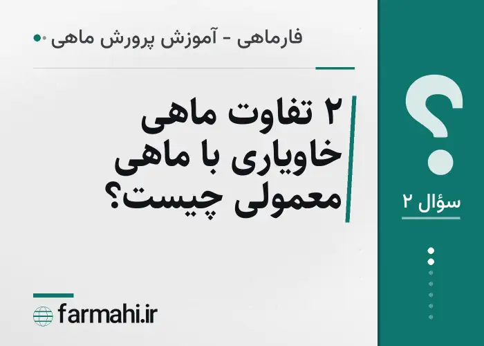 ۲ تفاوت ماهی خاویاری با ماهی معمولی چیست؟