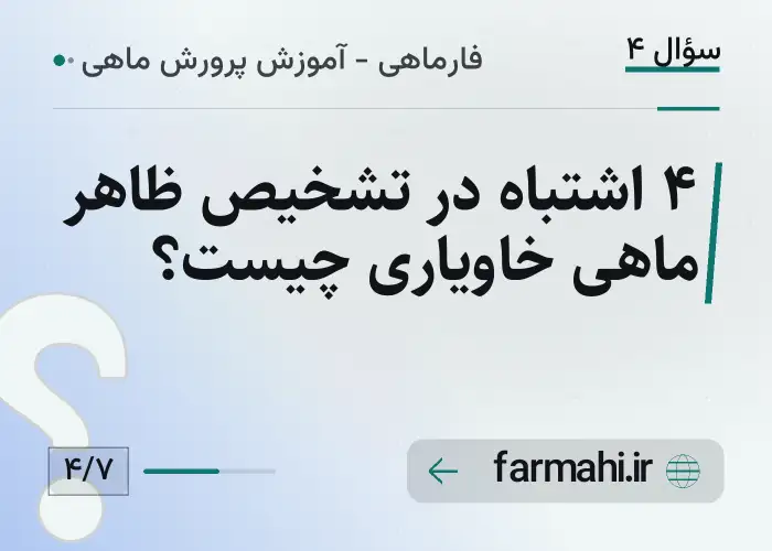 ۴ اشتباه در تشخیص ظاهر ماهی خاویاری چیست؟