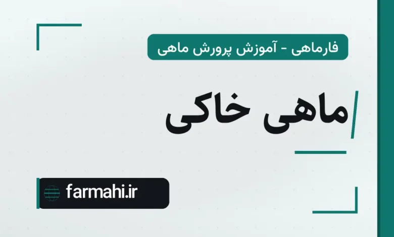 ماهی خاکی