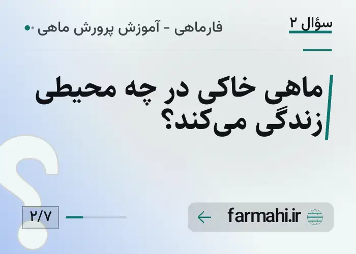 ماهی خاکی در چه محیطی زندگی می‌کند؟