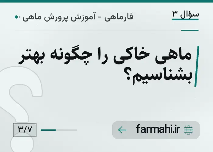 ماهی خاکی را چگونه بهتر بشناسیم؟