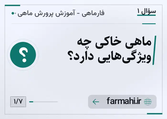 ماهی خاکی چه ویژگی‌هایی دارد؟