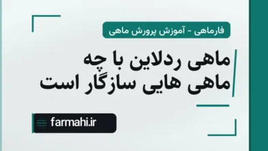 ماهی ردلاین با چه ماهی هایی سازگار است
