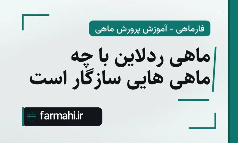 ماهی ردلاین با چه ماهی هایی سازگار است