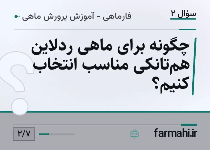 چگونه برای ماهی ردلاین هم‌تانکی مناسب انتخاب کنیم؟