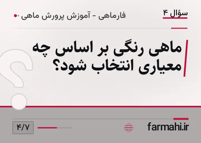 ماهی رنگی بر اساس چه معیاری انتخاب شود؟