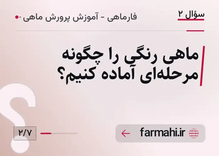 ماهی رنگی را چگونه مرحله‌ای آماده کنیم؟
