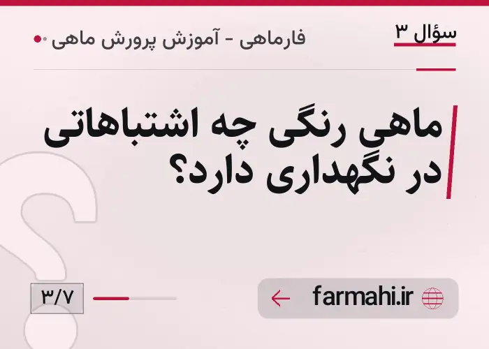 ماهی رنگی چه اشتباهاتی در نگهداری دارد؟