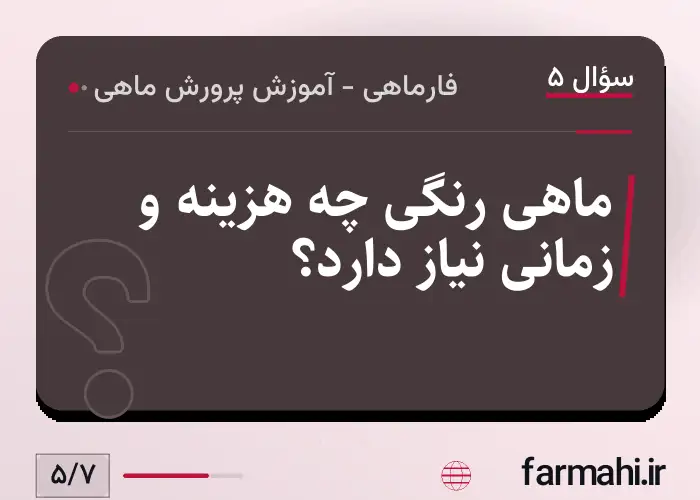 ماهی رنگی چه هزینه و زمانی نیاز دارد؟