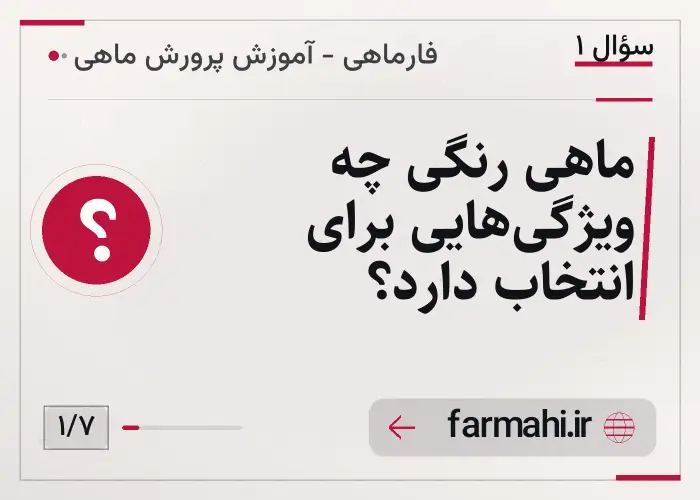 ماهی رنگی چه ویژگی‌هایی برای انتخاب دارد؟