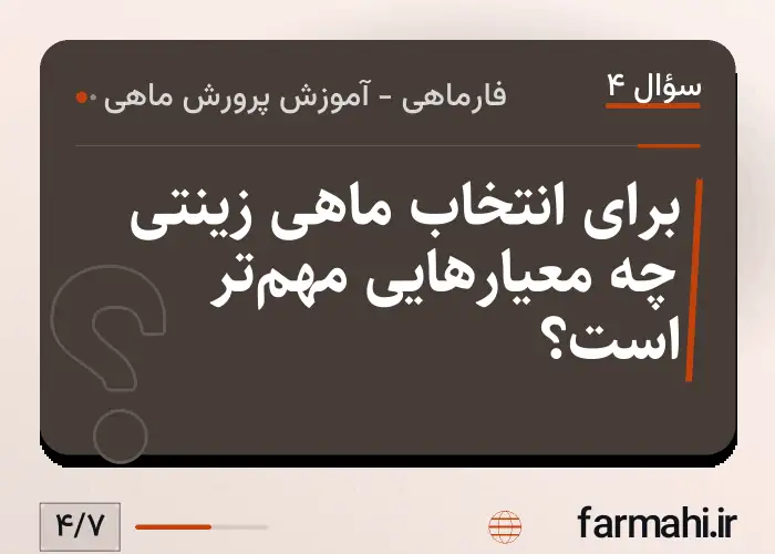 برای انتخاب ماهی زینتی چه معیارهایی مهم‌تر است؟