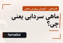 ماهی سردابی یعنی چی؟