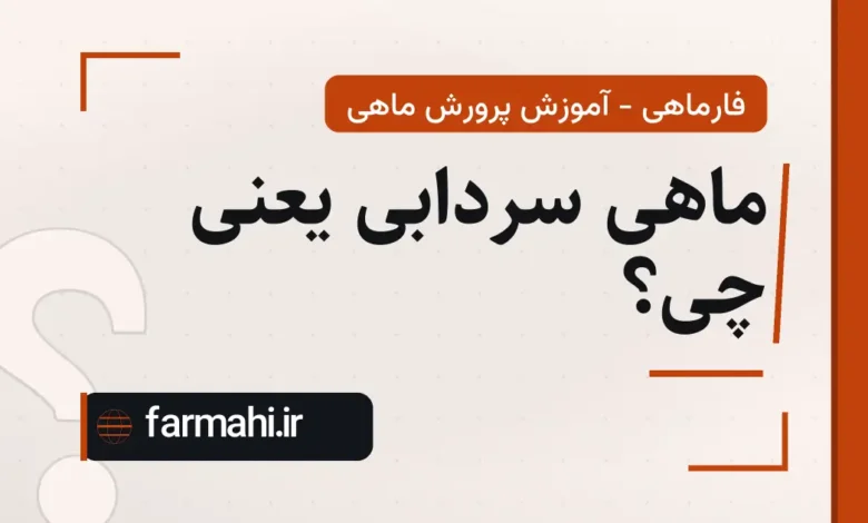 ماهی سردابی یعنی چی؟