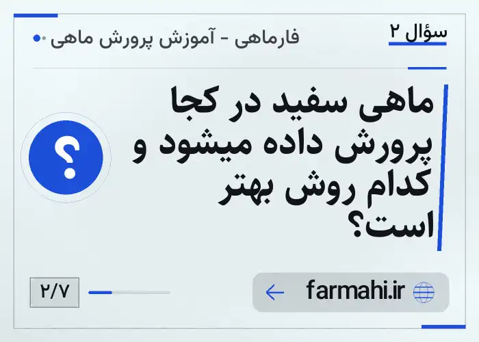 ماهی سفید در کجا پرورش داده میشود و کدام روش بهتر است؟