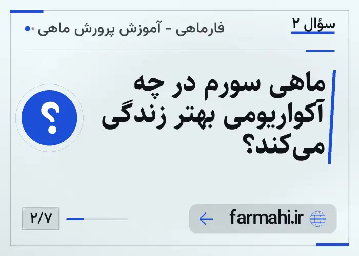 ماهی سورم در چه آکواریومی بهتر زندگی می‌کند؟