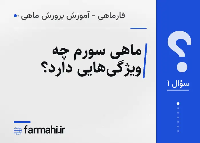 ماهی سورم چه ویژگی‌هایی دارد؟