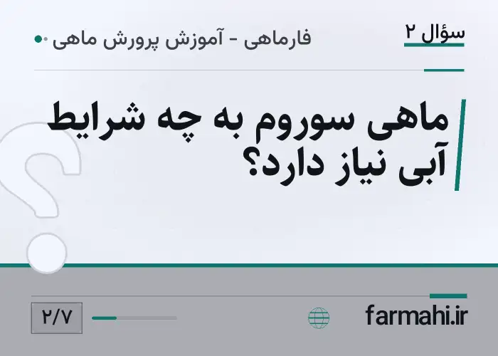 ماهی سوروم به چه شرایط آبی نیاز دارد؟