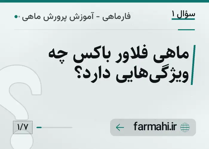ماهی فلاور باکس چه ویژگی‌هایی دارد؟