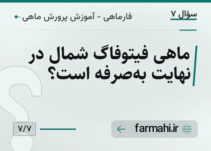 ماهی فیتوفاگ شمال در نهایت به‌صرفه است؟