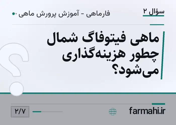 ماهی فیتوفاگ شمال چطور هزینه‌گذاری می‌شود؟