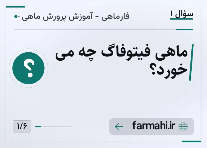 ماهی فیتوفاگ چه می خورد؟