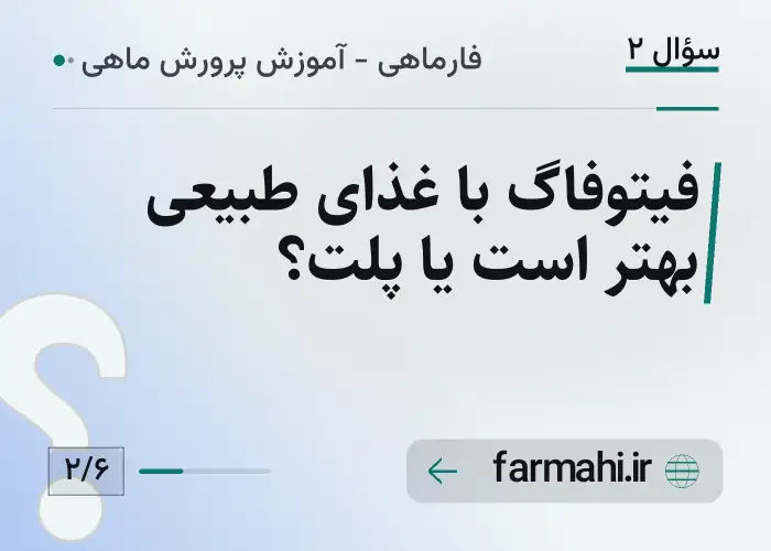 فیتوفاگ با غذای طبیعی بهتر است یا پلت؟