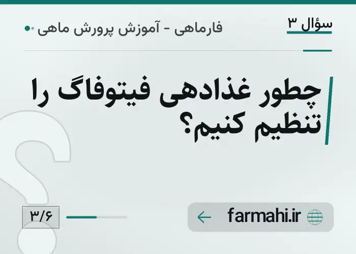 چطور غذادهی فیتوفاگ را تنظیم کنیم؟