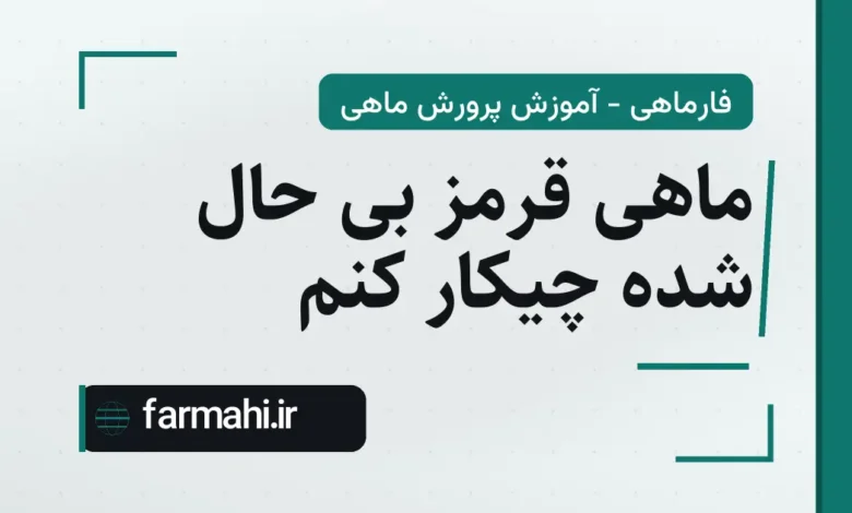 ماهی قرمز بی حال شده چیکار کنم