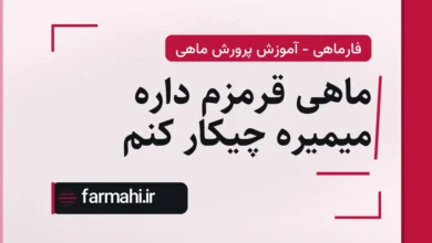 ماهی قرمزم داره میمیره چیکار کنم