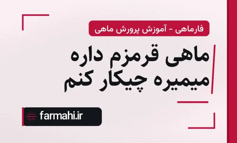 ماهی قرمزم داره میمیره چیکار کنم