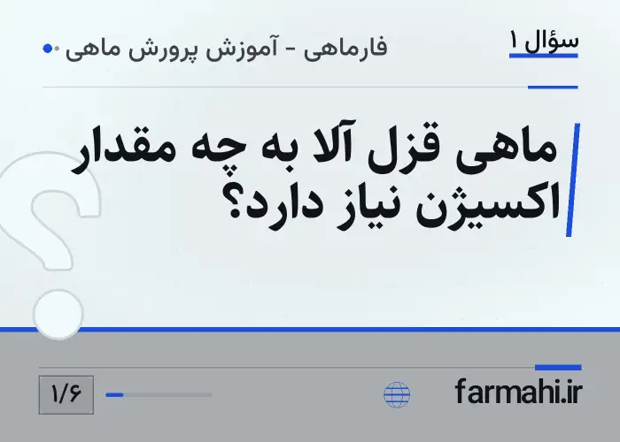 ماهی قزل آلا به چه مقدار اکسیژن نیاز دارد؟