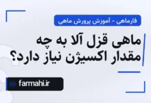 ماهی قزل آلا به چه مقدار اکسیژن نیاز دارد؟