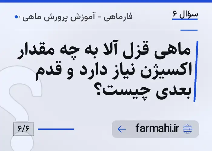 ماهی قزل آلا به چه مقدار اکسیژن نیاز دارد و قدم بعدی چیست؟