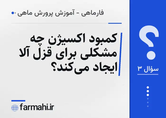 کمبود اکسیژن چه مشکلی برای قزل آلا ایجاد می‌کند؟