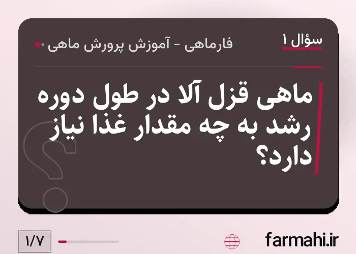 ماهی قزل آلا در طول دوره رشد به چه مقدار غذا نیاز دارد؟