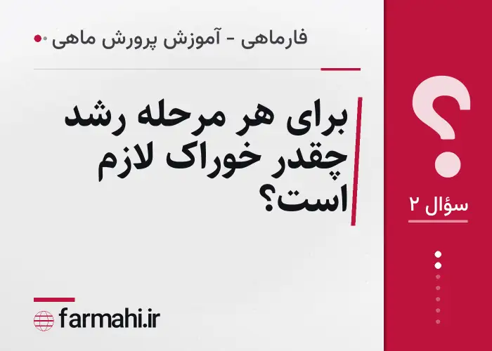 برای هر مرحله رشد چقدر خوراک لازم است؟