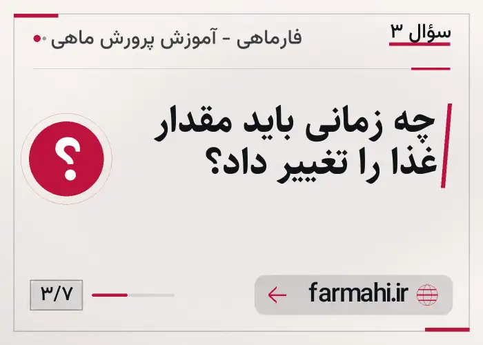 چه زمانی باید مقدار غذا را تغییر داد؟