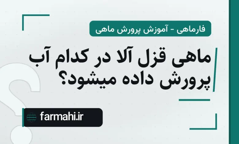 ماهی قزل آلا در کدام آب پرورش داده میشود؟