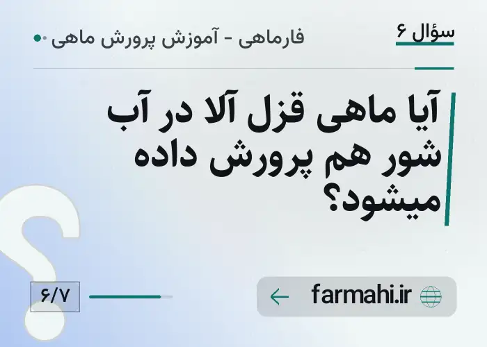آیا ماهی قزل آلا در آب شور هم پرورش داده میشود؟