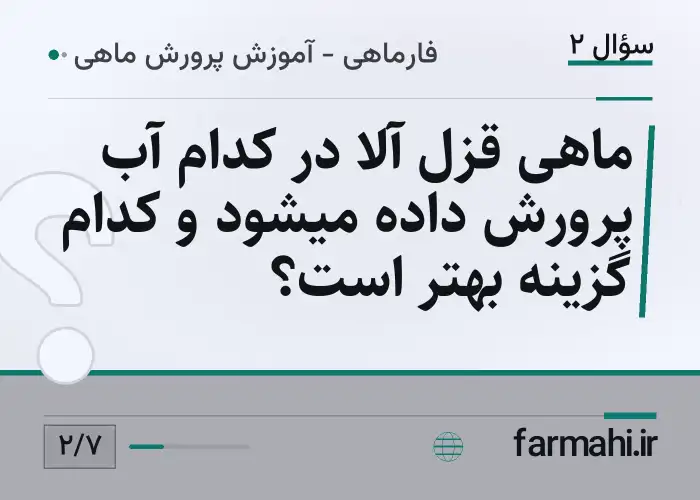 ماهی قزل آلا در کدام آب پرورش داده میشود و کدام گزینه بهتر است؟