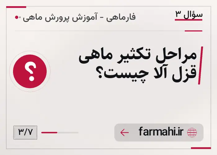 مراحل تکثیر ماهی قزل آلا چیست؟