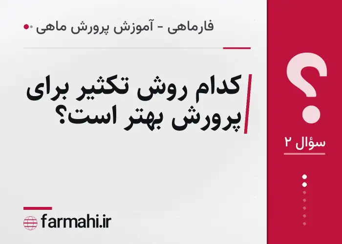 کدام روش تکثیر برای پرورش بهتر است؟