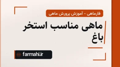 ماهی مناسب استخر باغ