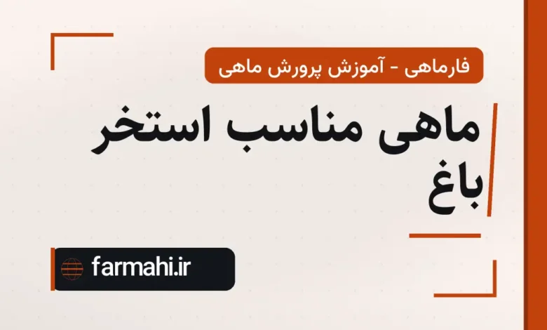 ماهی مناسب استخر باغ