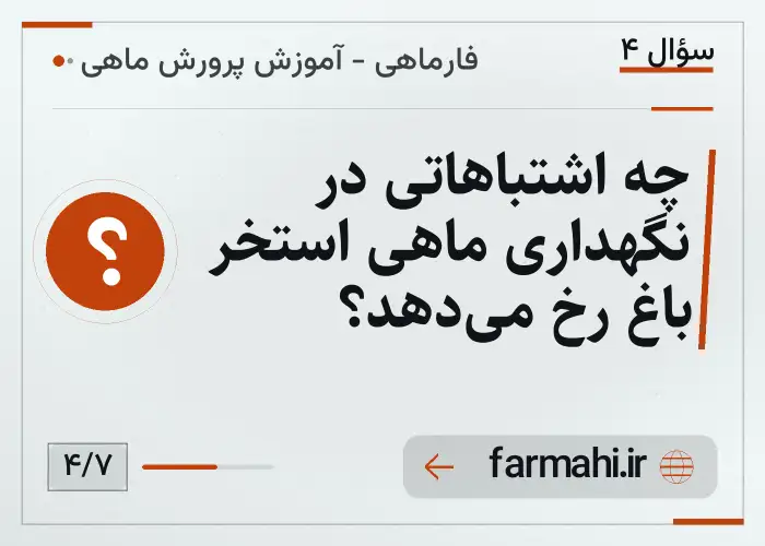 چه اشتباهاتی در نگهداری ماهی استخر باغ رخ می‌دهد؟