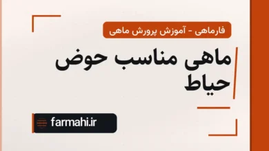 ماهی مناسب حوض حیاط