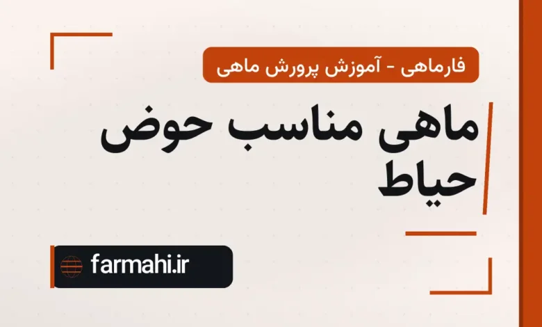 ماهی مناسب حوض حیاط